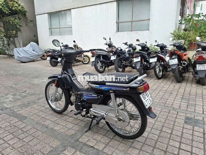 xe dream hàn quốc
