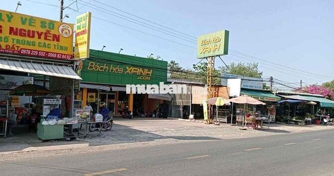 Đất gần KCN tại Bàu Bàng giá sốc chỉ 420tr/200m2 SHR sinh lời cao