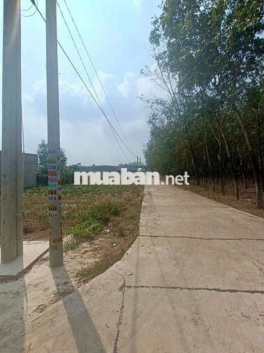 Bán lô đất hẻm xe hơi thị xã Chơn Thành , 5.06×38 , 190m2 . 660 triệu