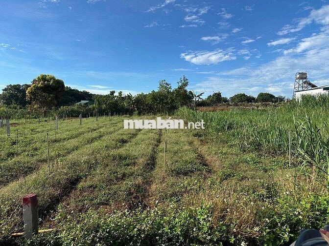 Bán đất Full TC thôn 2 Trà Đa, phường pleiku
