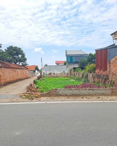 Đất chính chủ Đông Anh - Giá đầu tư - đón đầu quy hoạch
