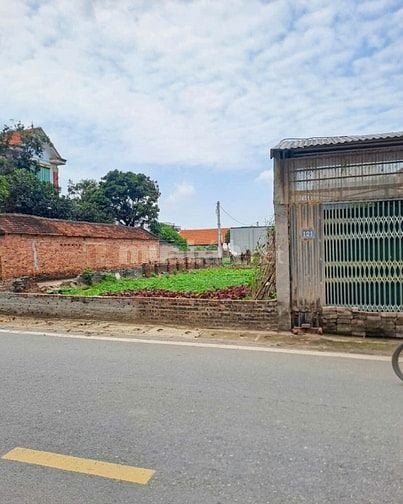 Đất chính chủ Đông Anh - Giá đầu tư - đón đầu quy hoạch