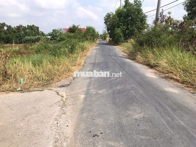 Bán 1500m2 đất thổ lúa đường 3,5m tại Đông Thạnh, Cần Giuộc