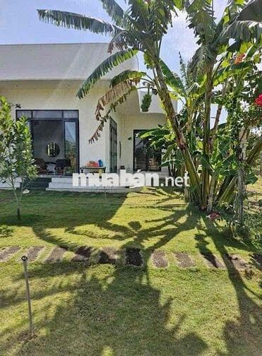 kẹt tiền bán lỗ đất Bình Phước