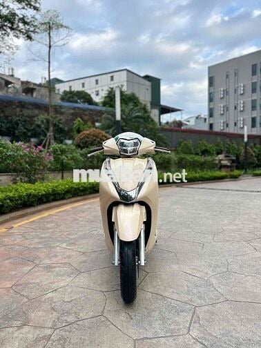 Honda Lead 2021 zin 100%