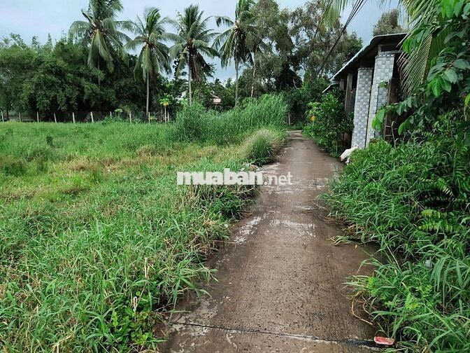 BÁN ĐẤT XÃ MỸ PHÚ, HUYỆN THỦ THỪA, LONG AN