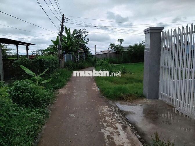 BÁN ĐẤT XÃ MỸ PHÚ, HUYỆN THỦ THỪA, LONG AN