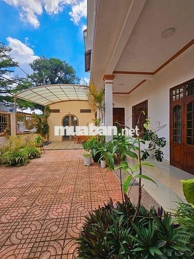 Cho Thuê Biệt Thự Hơn 400m2 Amakhe