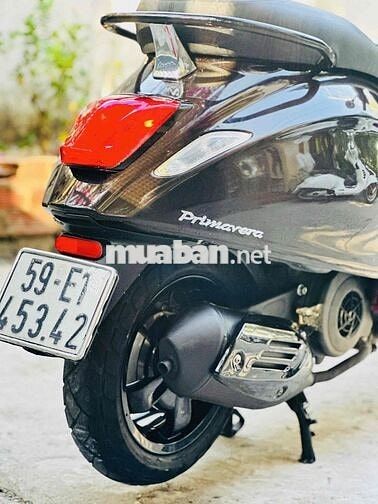 Piaggio Vespa Primavera 125CC 2015 Nâu