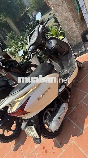 Honda Lead Vàng kem