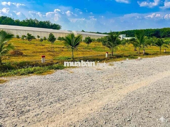 Đất tại TPHCM giá rẻ , 4 tiêu chí đạt chuẩn Chợ , trường , đường trạm