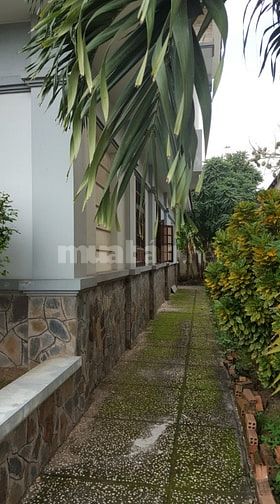 Bán gấp biệt thự phố 535.5m² trung tâm Mỹ Tho tài sản hiếm cho nhà đầu