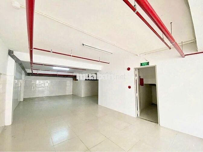 CẦN CHO THUÊ GẤP-350C Nguyễn Trọng Tuyển, P.10, Phú Nhuận - DTSD 400m2