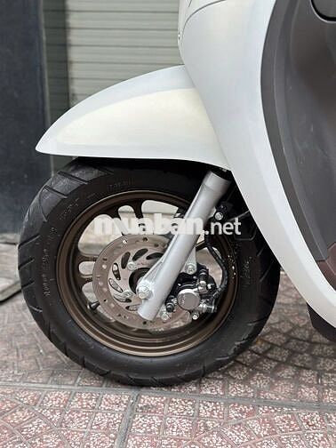 Honda Scoopy 2024 Trắng