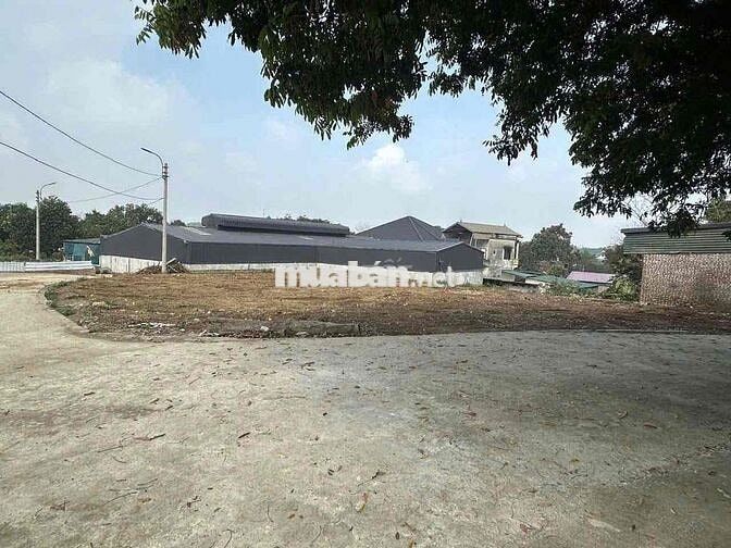 Bán 506m2 Đất Xây Kho Xưởng,Biệt Thự