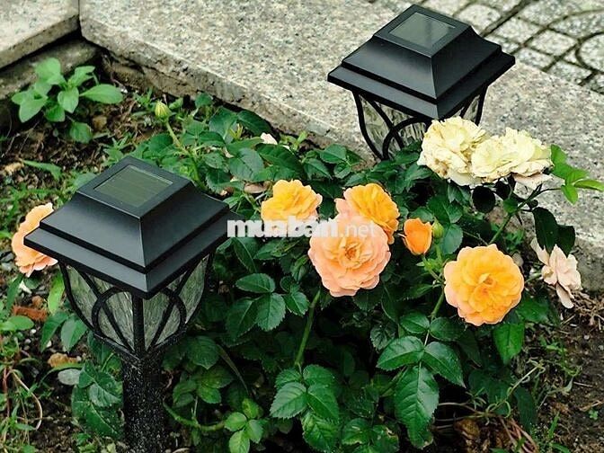 Căn hộ-phòng trọ máy lạnh đầy đủ nội thất, trung tâm 2tr3