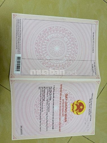 🚨 ĐỪNG CHỜ – LÔ ĐẤT MẶT TIỀN ĐƯỜNG NHỰA GIÁ 559TR, CHẬM LÀ MẤT 🚨