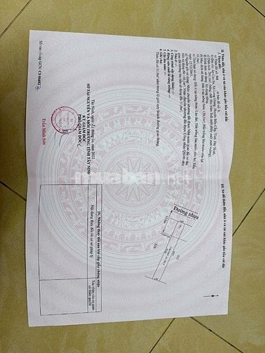 🚨 ĐỪNG CHỜ – LÔ ĐẤT MẶT TIỀN ĐƯỜNG NHỰA GIÁ 559TR, CHẬM LÀ MẤT 🚨