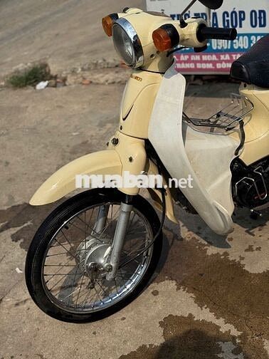 Daelim Cup 50cc 2013 Vàng kem