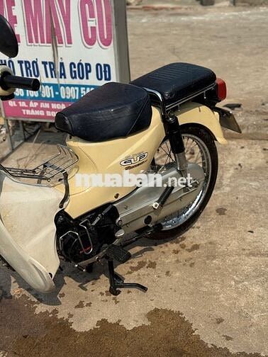 Daelim Cup 50cc 2013 Vàng kem