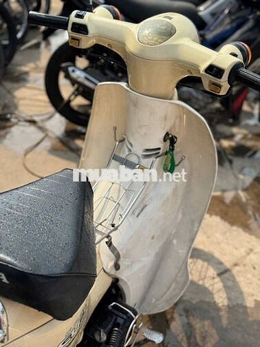 Daelim Cup 50cc 2013 Vàng kem