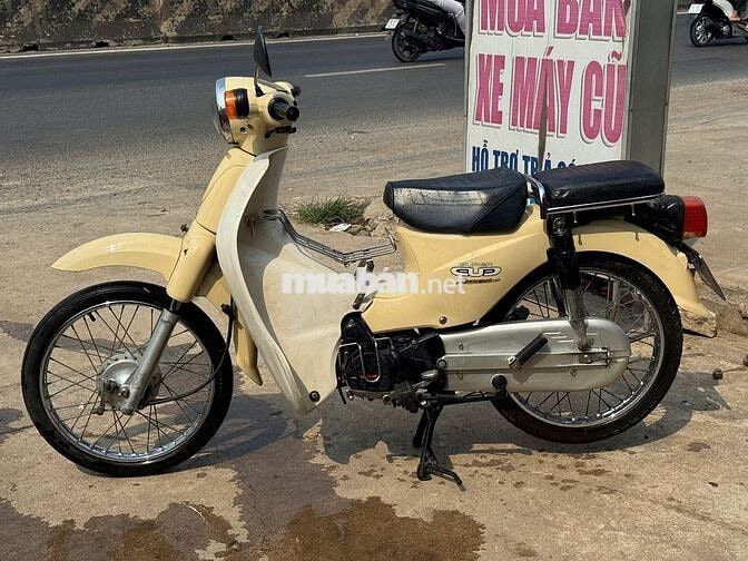 Daelim Cup 50cc 2013 Vàng kem