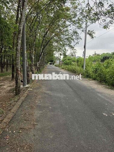 Đất năm trong khu vực dân cư đông đúc sát khu công nghiệp