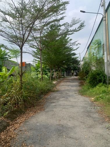 Bán đất thổ cư, xây dựng tự do, bên hông trường Thành Công