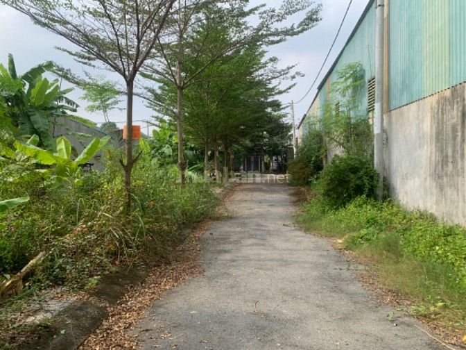 Bán đất thổ cư, xây dựng tự do, bên hông trường Thành Công