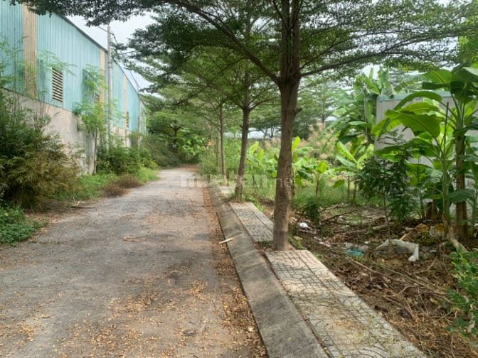Bán đất thổ cư, xây dựng tự do, bên hông trường Thành Công