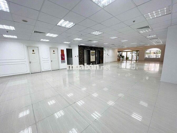 OFFICE TỌA LẠC KHU ĐAKAO QUẬN 1 FULL KÍNH 8,5X20M VUÔNG VỨC HẦM 5TẦNG 