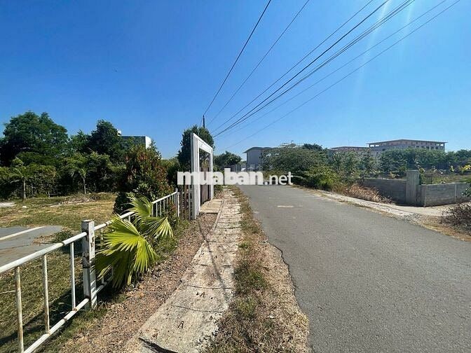 💥 View SUỐI HIẾM Hồ Tràm – 311m² – Xây tự do 7 Tầng – Giá *** Khu Vực