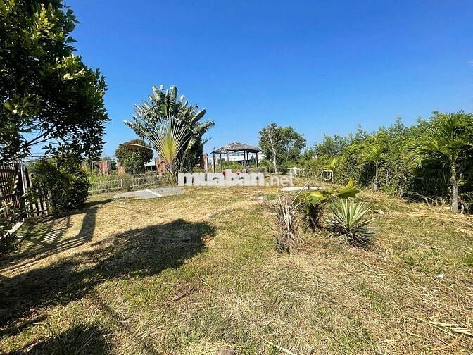 💥 View SUỐI HIẾM Hồ Tràm – 311m² – Xây tự do 7 Tầng – Giá *** Khu Vực