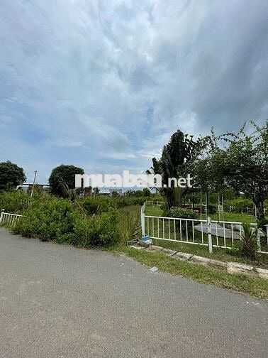 💥 View SUỐI HIẾM Hồ Tràm – 311m² – Xây tự do 7 Tầng – Giá *** Khu Vực