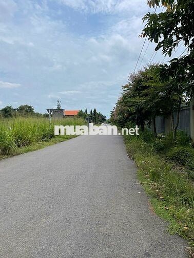 💥 View SUỐI HIẾM Hồ Tràm – 311m² – Xây tự do 7 Tầng – Giá *** Khu Vực