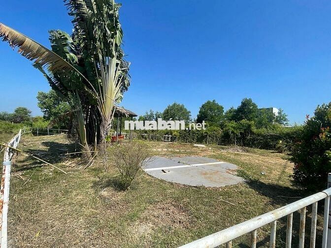 💥 View SUỐI HIẾM Hồ Tràm – 311m² – Xây tự do 7 Tầng – Giá *** Khu Vực