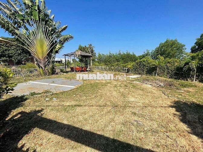 💥 View SUỐI HIẾM Hồ Tràm – 311m² – Xây tự do 7 Tầng – Giá *** Khu Vực