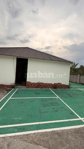 CHO THUÊ ĐẤT 1000M2 LÀM KHO XƯỞNG HOẶC VP.. TRUNG TÂM MỚI BÌNH DƯƠNG