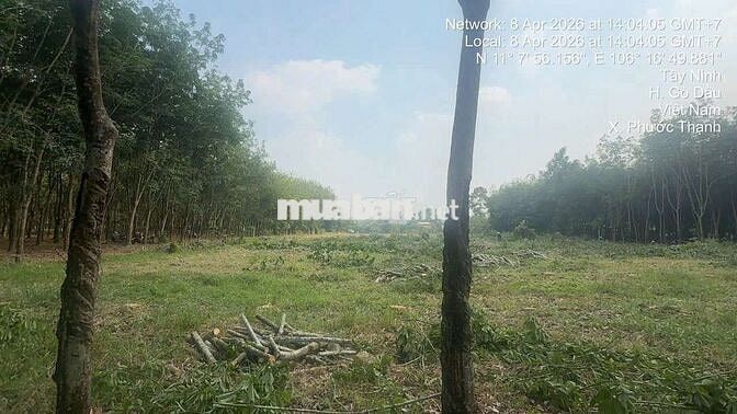 Đất 8400m2 trong đó 400 thổ cách kcn hiệp thạnh 5km