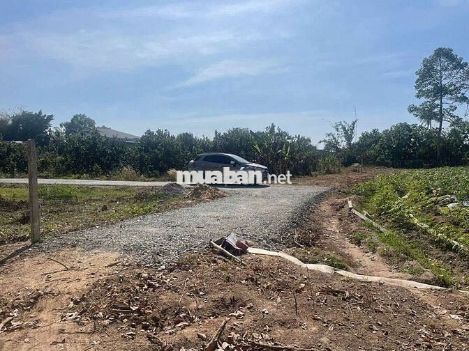 Đất 8400m2 trong đó 400 thổ cách kcn hiệp thạnh 5km