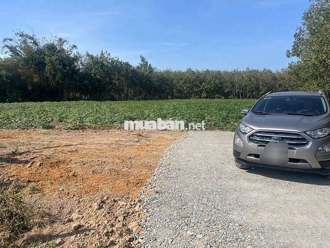 Đất 8400m2 trong đó 400 thổ cách kcn hiệp thạnh 5km