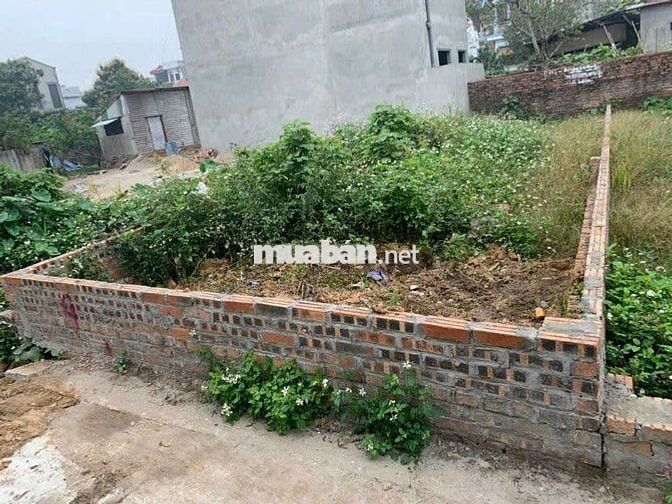 CHỈ 3,8 TỶ 67,2m2 ĐẤT BẾN TRUNG, BẮC HỒNG, ĐÔNG ANH