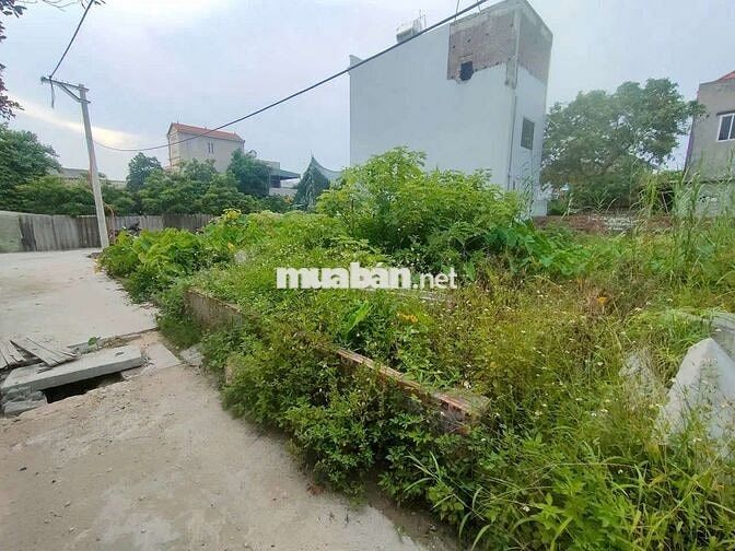 CHỈ 3,8 TỶ 67,2m2 ĐẤT BẾN TRUNG, BẮC HỒNG, ĐÔNG ANH