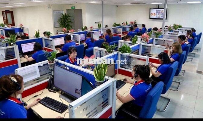NHÂN VIÊN TỔNG ĐÀI ĐIỆN LỰC EVN HCM (QUẬN 1) 