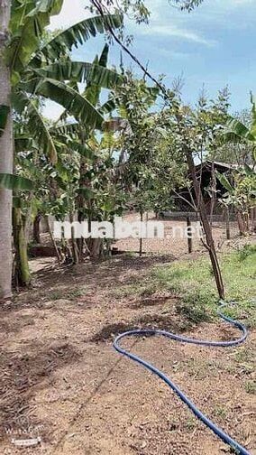 cần bán đất xông thao huyện bầu hàm Thành phố Đồng Nai