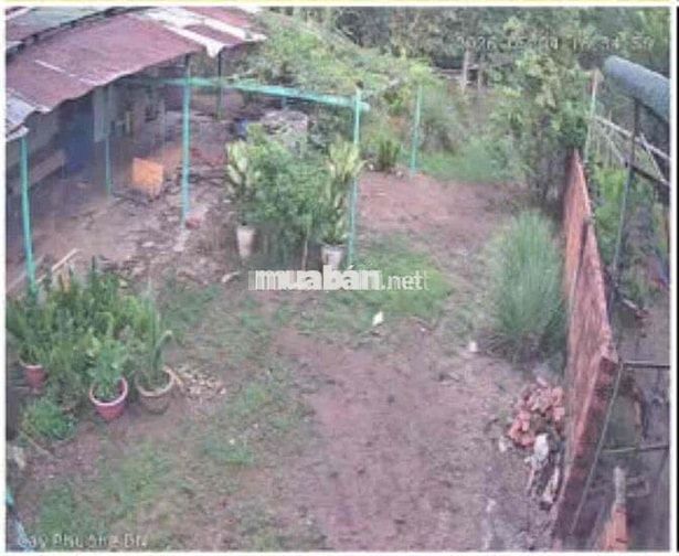 cần bán đất xông thao huyện bầu hàm Thành phố Đồng Nai