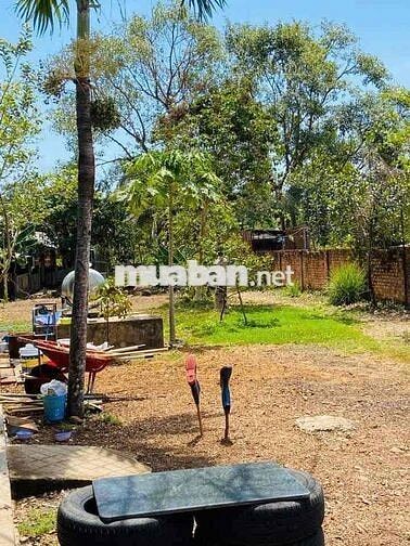 cần bán đất xông thao huyện bầu hàm Thành phố Đồng Nai