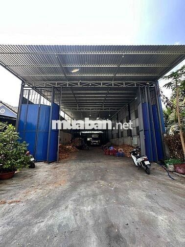 Nhà Xưởng Lộ container - Phường Phú Tân có 300 thổ