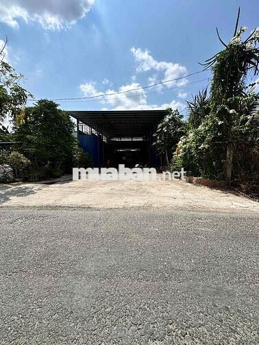 Nhà Xưởng Lộ container - Phường Phú Tân có 300 thổ