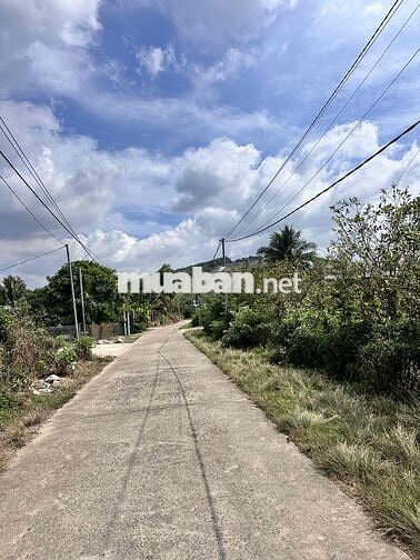 LONG KHÁNH THÀNH PHỐ ĐỒNG NAI. Lễ hội mùa trái cây